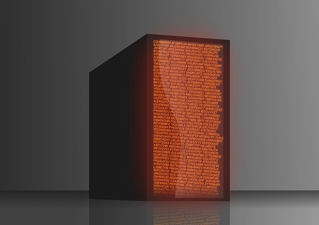 File:Hostsecurity23434234.jpg